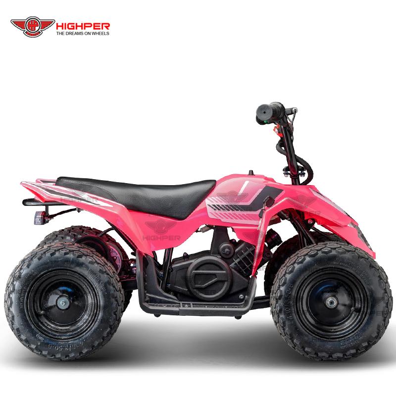 Mini Kids Electric Quad (ATV-8E A) 4