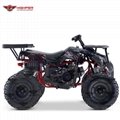 ATV 150cc, 200cc, 250cc (ATV011) 3