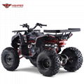 ATV 150cc, 200cc, 250cc (ATV011) 4