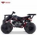 ATV 150cc, 200cc, 250cc (ATV011)