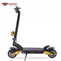 3000W Dual Motors Electric Scooter