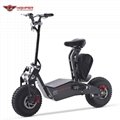 1600W 2000W Off Road Electric Scooter for Adult