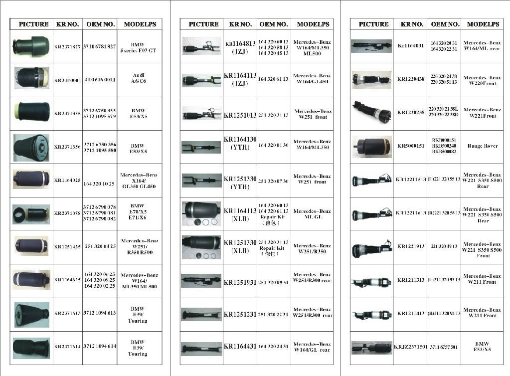 air suspension strut for BMW BENZ LAND ROVER 2