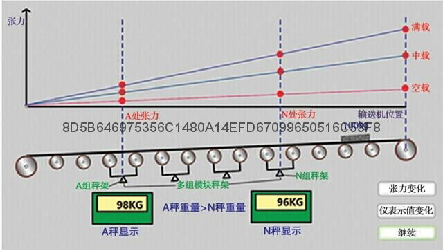 赛摩阵列式ZL高精度电子皮带秤 3