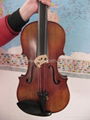 antique style violin 