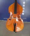 Master double Bass with violin corner