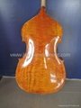 Master double Bass with violin corner