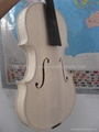 White violin 4