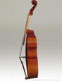 Bass Viola Da Gamba 