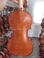 professional viola