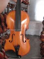 professional viola