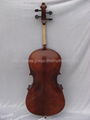 Veneered cello