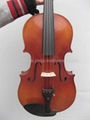 professional viola