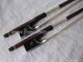 Violin Permumbuco bow with black horn frog