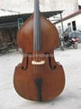 Master double bass with gamba shape