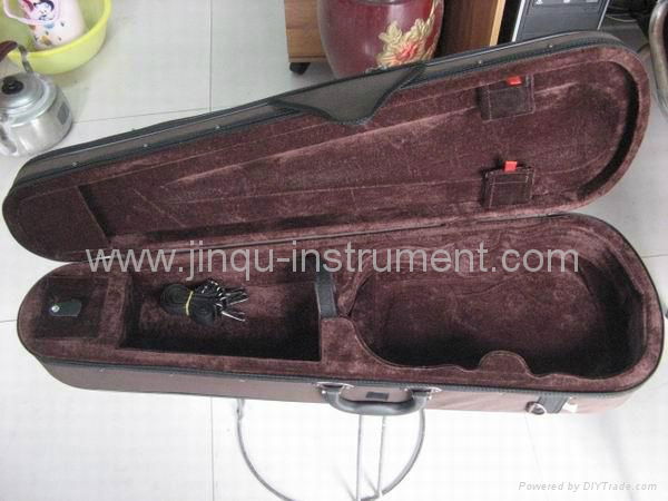 Advanced violin student case 2