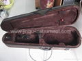 Advanced violin student case