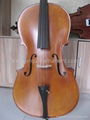 Master cello*