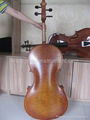 Master cello*