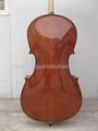 Solid Cello