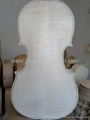 White cello