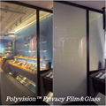 Polyvision Privacy Glass 4