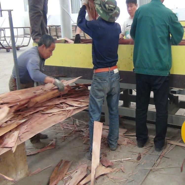 利用速生林木皮单板重组木生产线设备 3