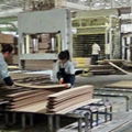 竹木或木木单板层压复合板生产设备 4