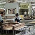 竹木或木木单板层压复合板生产设备