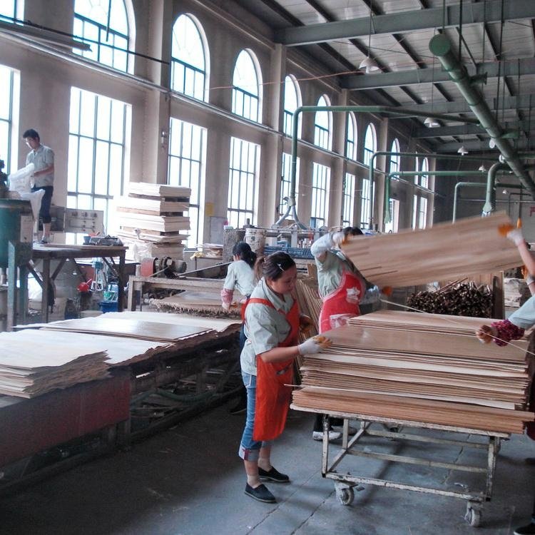 竹木或木木單板層壓復合板生產設備 2