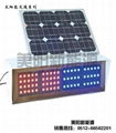 太陽能道路交通信號燈 5
