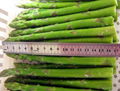 Frozen asparagus 1