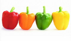 Chinese Fresh Sweet Bell  Pepper