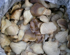 Salted oyster mushroom
