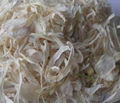 Dried onion 1