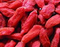 Organic goji berry 1