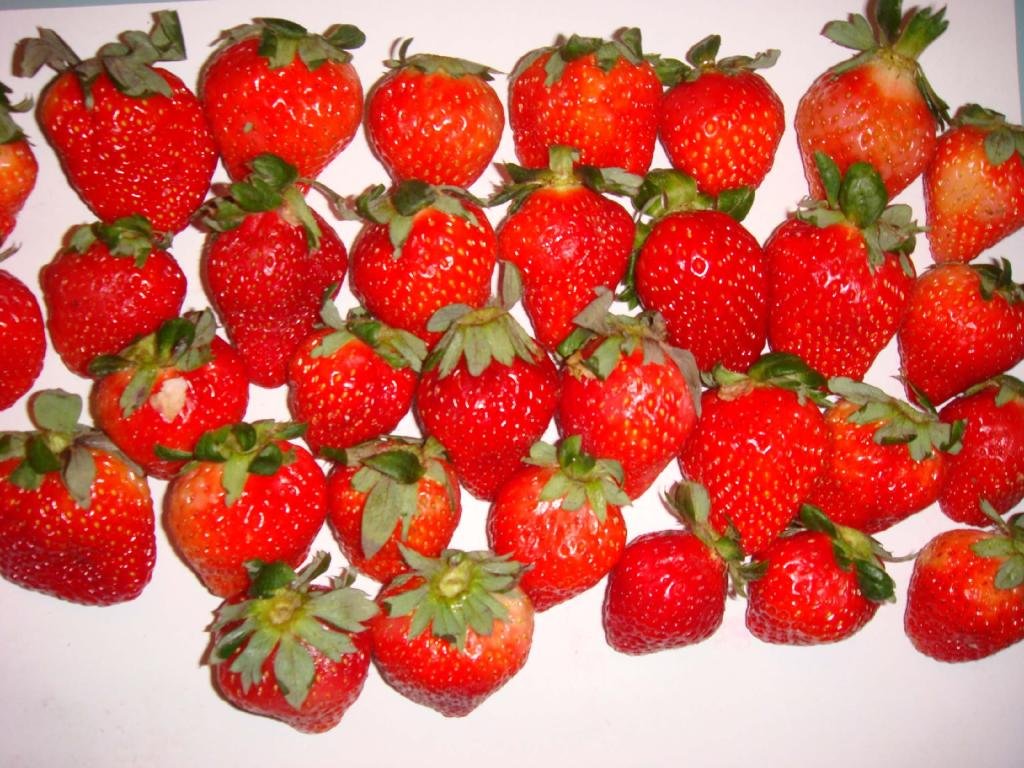 冻干草莓 2