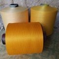 Polyester Moisture absorption and Perspiration fiber-polyester yarn 3