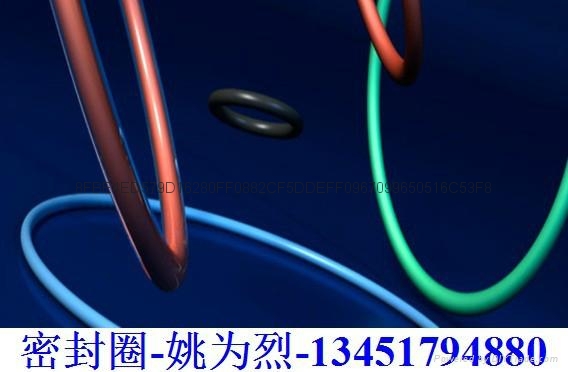 NBR橡膠密封圈FDA食品級 2