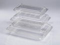 Clear Food Containers 1