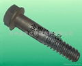 sleeper screw 2