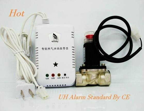 Home Combustible Gas Detector With Gas Magnetic Valve In China