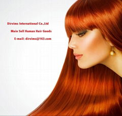 Dirvims International Co.,Ltd.