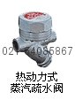 日本TLV自由浮球式蒸汽疏水閥21K-15A 上海 5