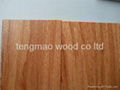 dossie engineered flooring