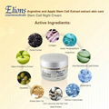 Stem Cell Night Cream  3