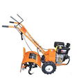 tiller EPT02D, CLD-T02D gasoline tiller  cultivator Power tiller