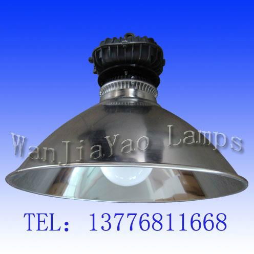 Induction Lamps - Factory Lights-GC550