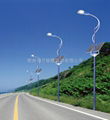 Solar lighting-Street lamps-LD-SL200W 2