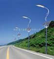 Solar lighting-Street lamps-LD-SL200W 4
